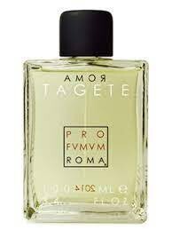 TAGATE 100 ml edp