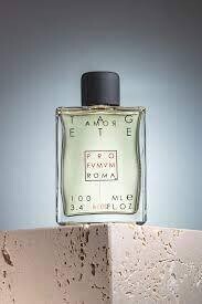 TAGATE 100 ml edp