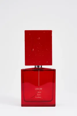 but not today extrait de parfum 100 ml