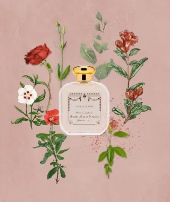 MELOGRANO eau de cologne 100 ml