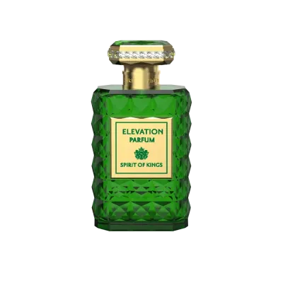 ELEVATION 100 ml edp