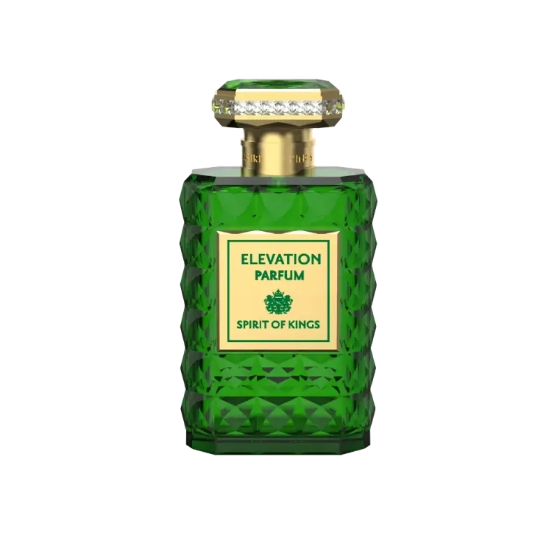 ELEVATION 100 ml edp