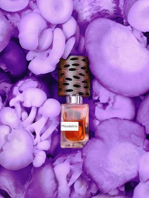 MICODELIRIO 30 ml ext