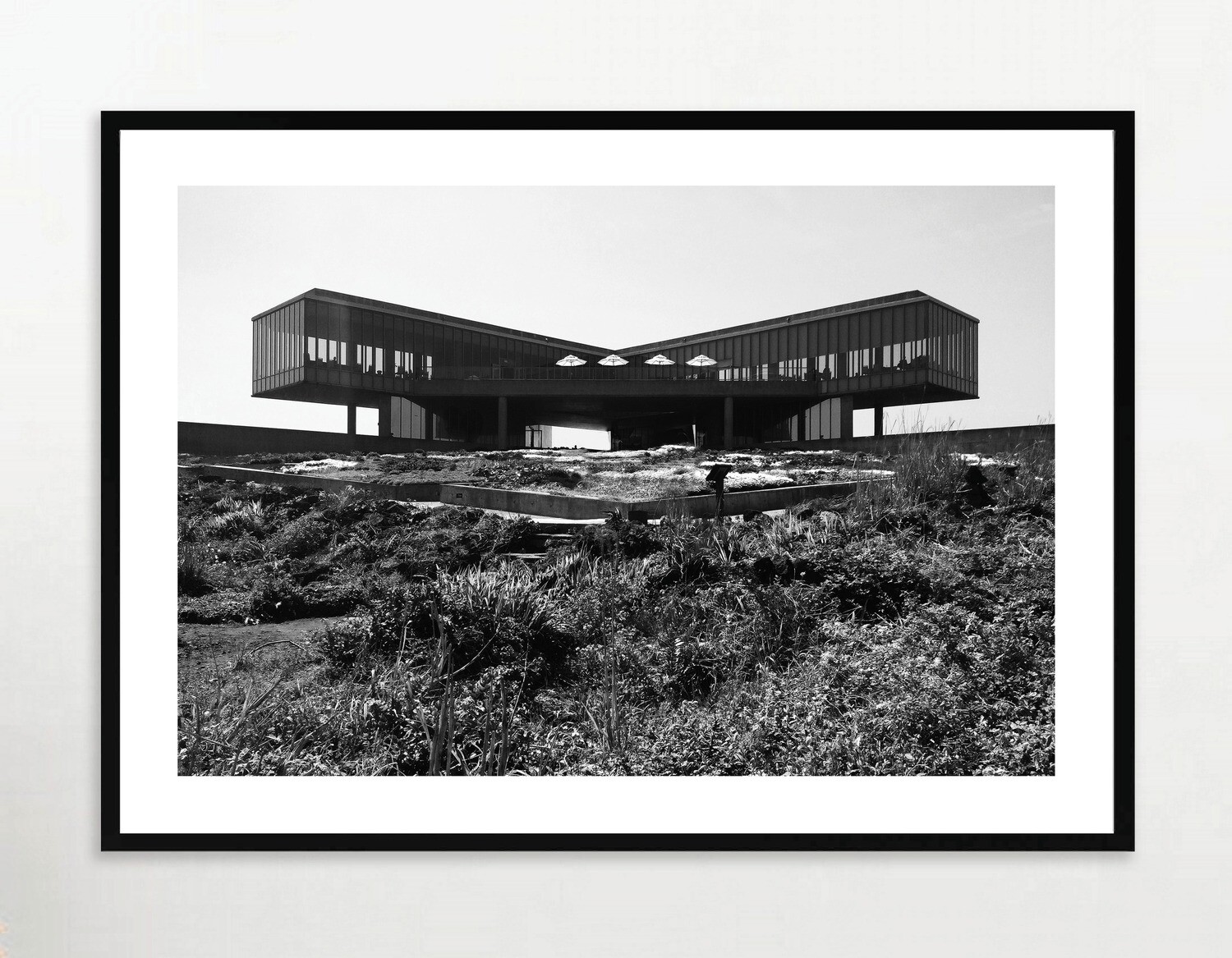 South Korea Jeju Island Glass House by Tadao Ando STORE NATASHA K. HE