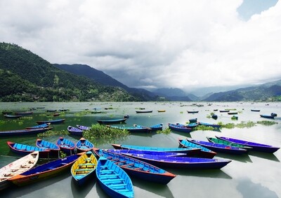 Nepal | Pokhara | Fewa Lake Boats