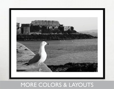 Guernsey | Seagull + Castle Cornet