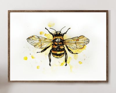 Bee | Watercolour | Open Edition
