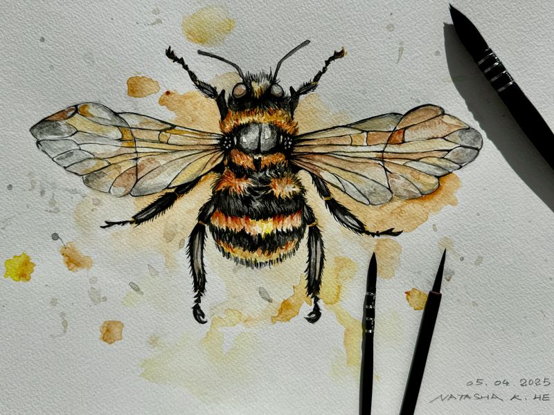 Watercolour and ink | Commission