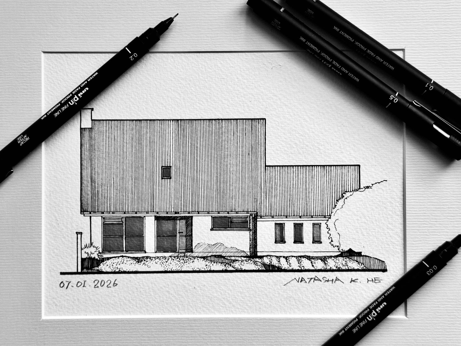 Pen and Ink | Commission Pen and Ink | Commission