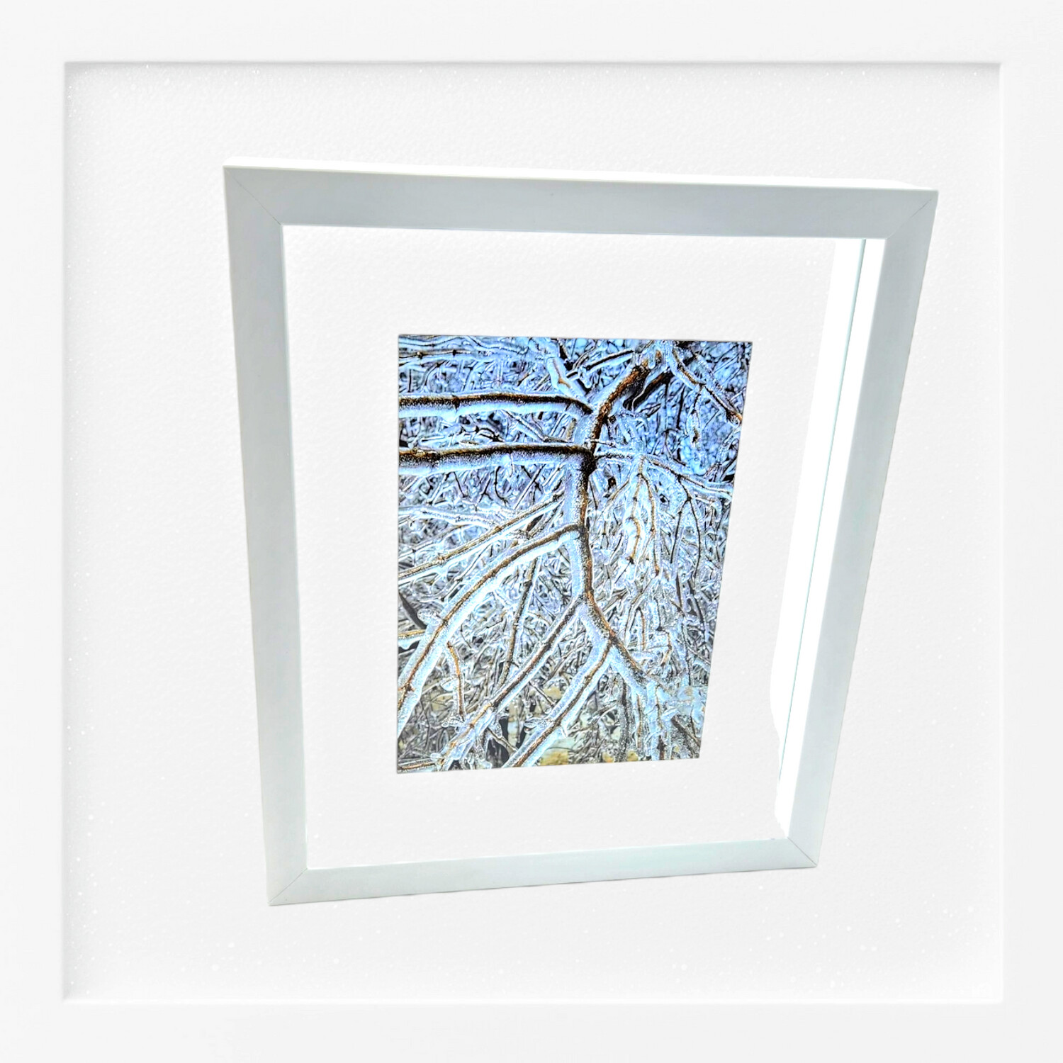 Curving Winter Branches on Ice