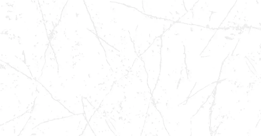 CERAMICA SIERRA NEVADA 31X60CM EUROCERAMICA
