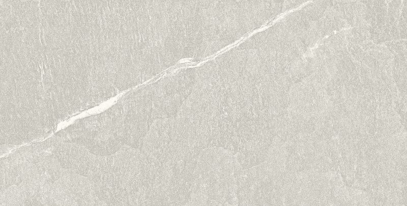 PORCELANATO 30X60CM AIDEN LIGHT ARGENTA