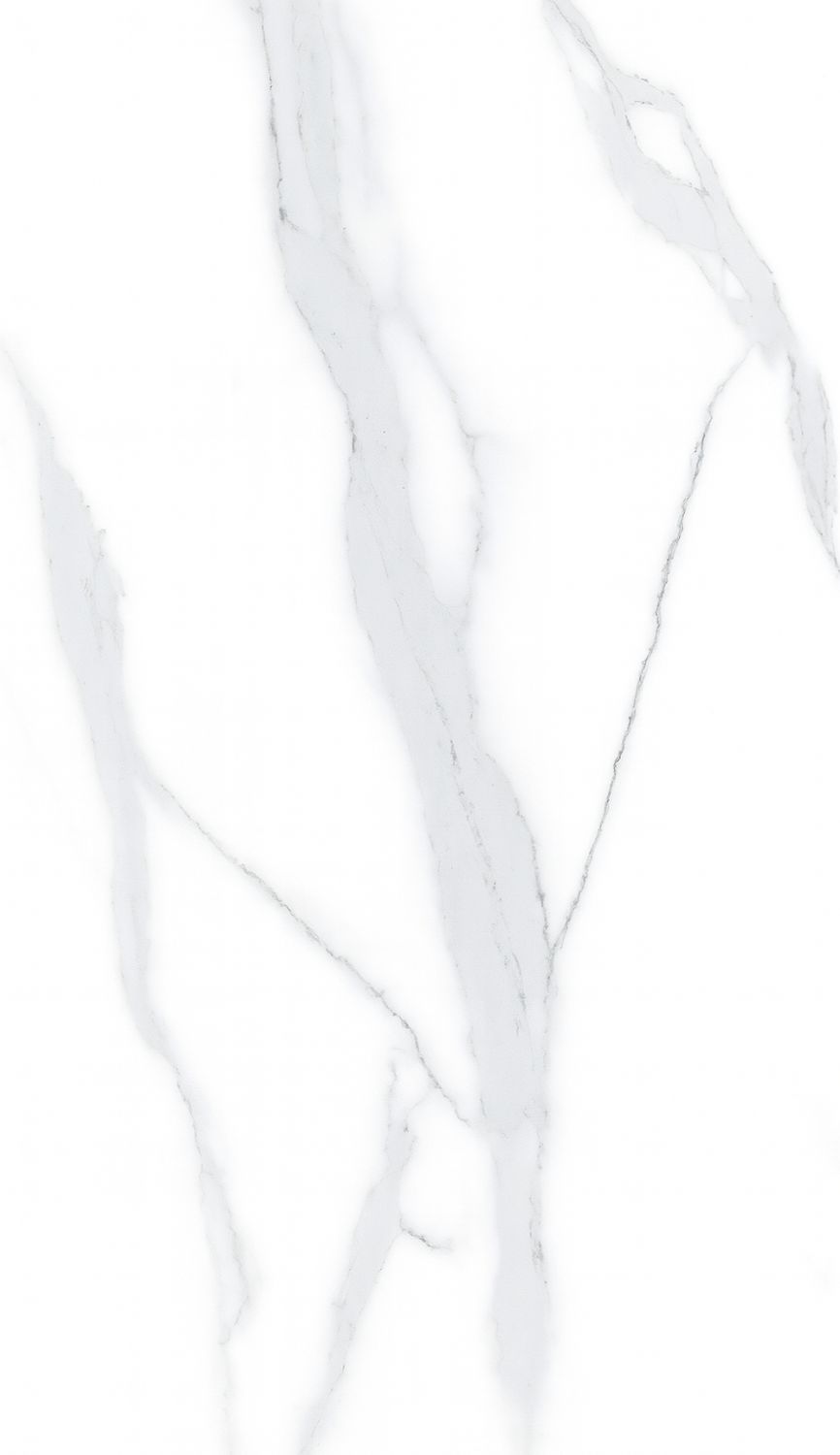 PORCELANATO 60X120CM MYSTERY WHITE INDIA