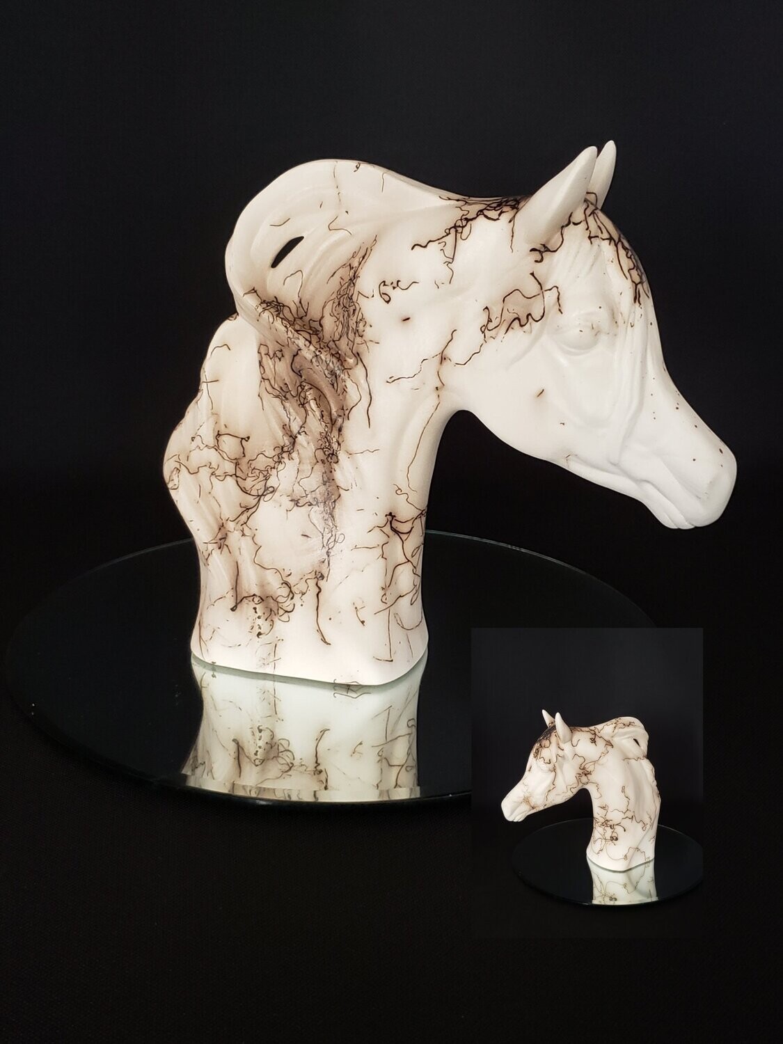 Arabian Horse #1