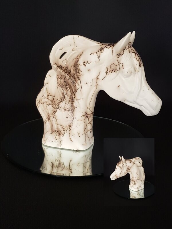 Arabian Horse #1