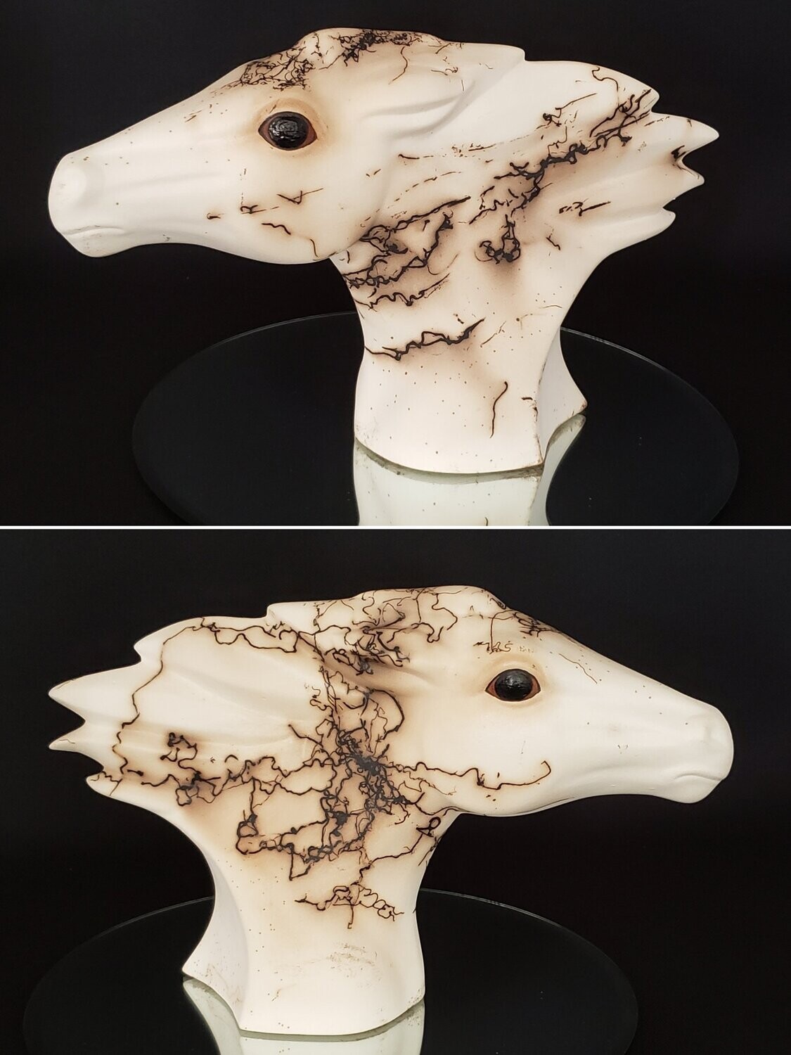 Modern HorseHead
