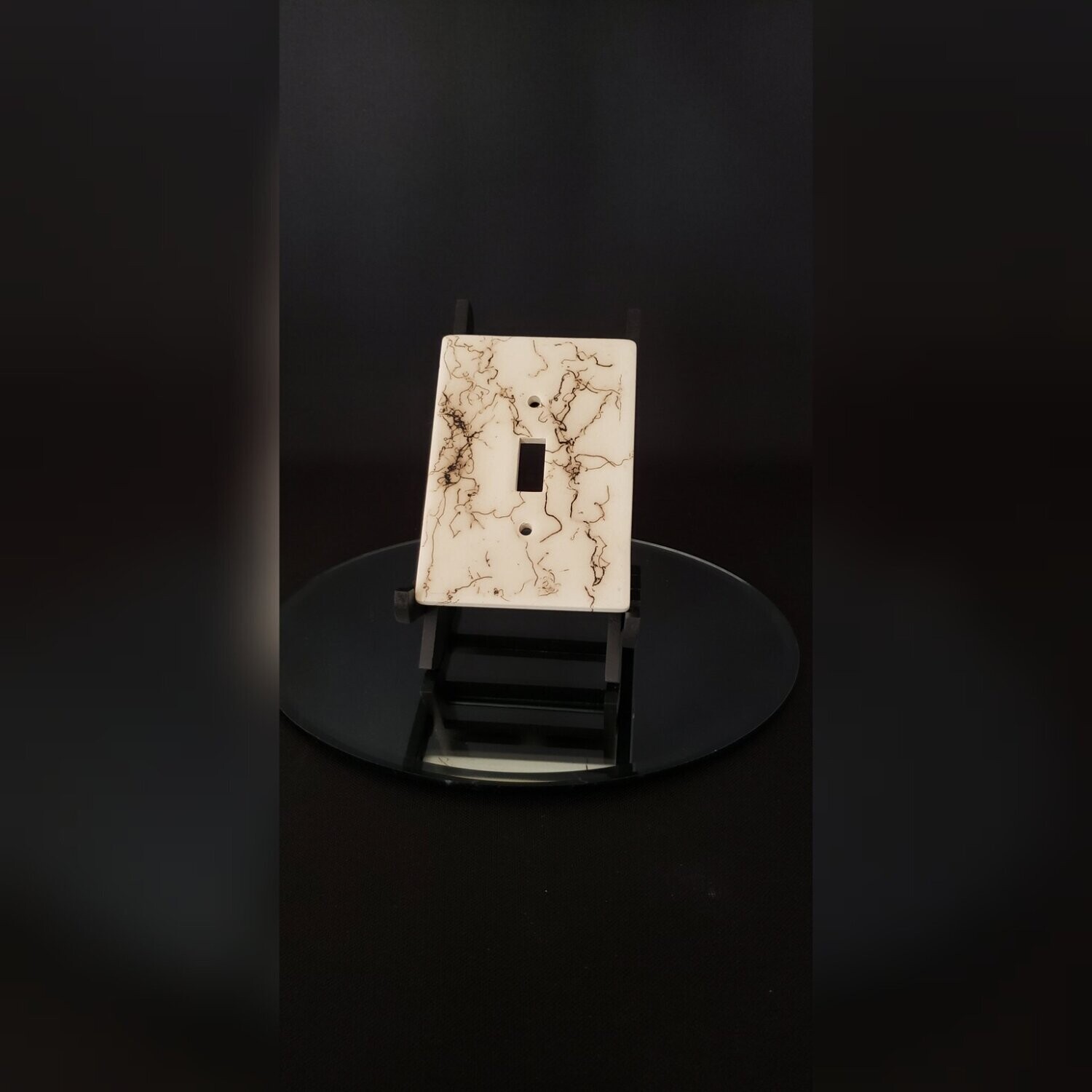 Light Switch Plate #1