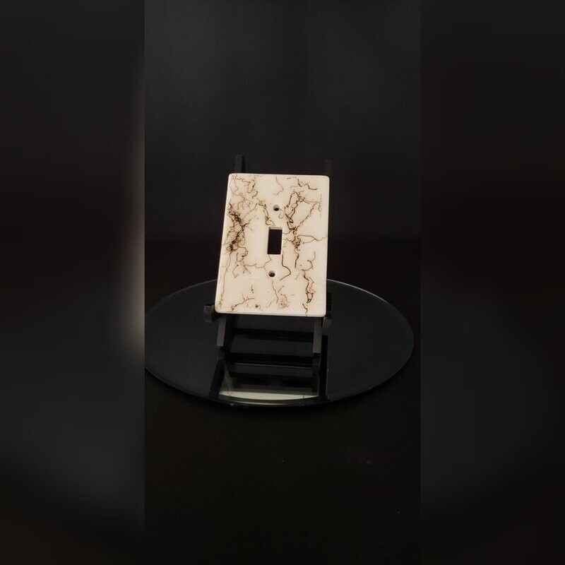 Light Switch Plate #1