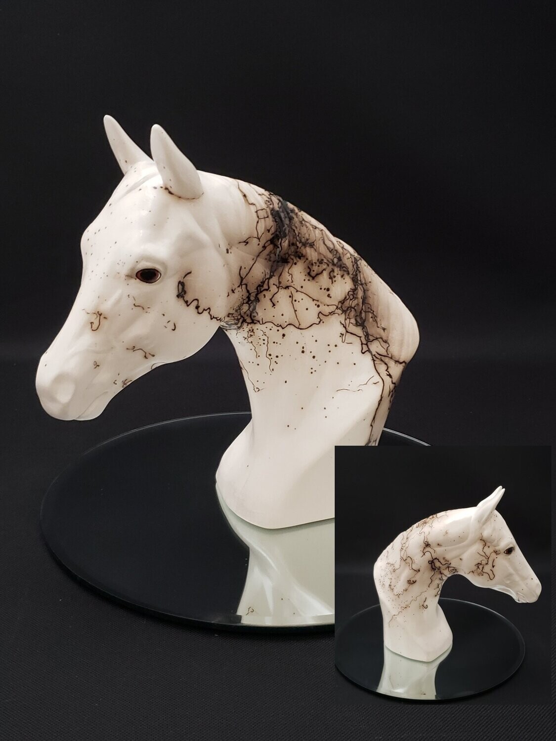 Thoroughbred Horse