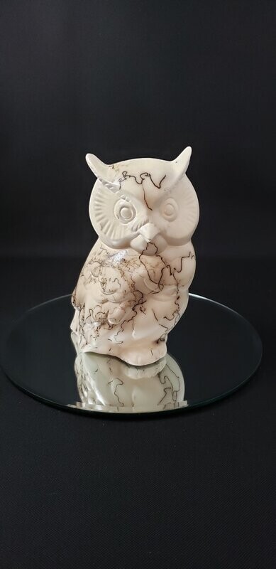 Medium Owl