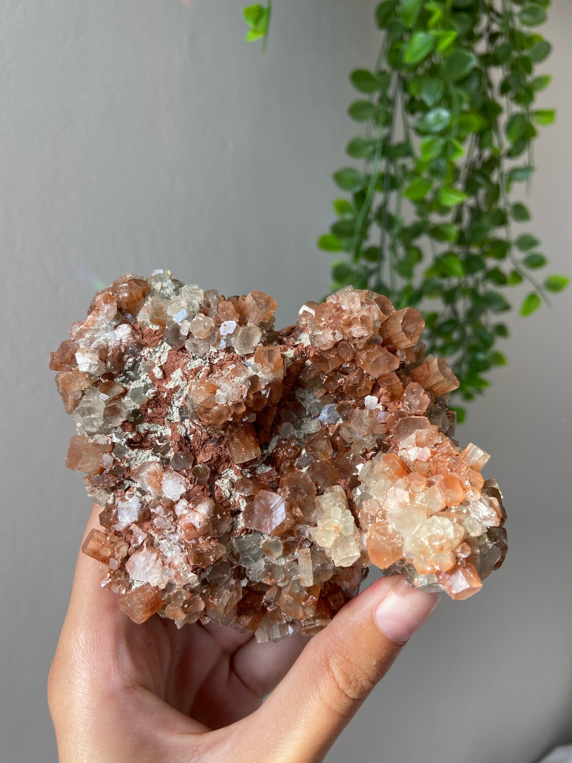 Aragoniet cluster