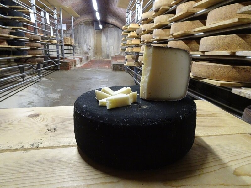 Schwarzes Schaf