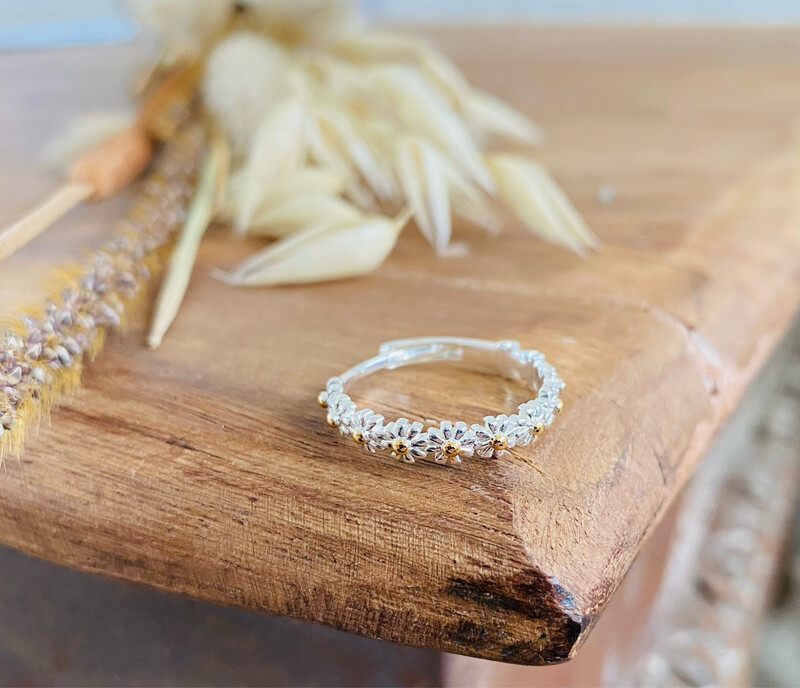Ring LANI
