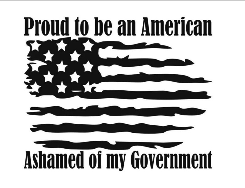 Proud to be an American Ashamed of my Government WHITE Vinyl Decal Bumper Sticker