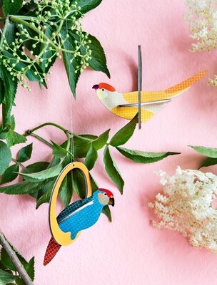 Swinging Parakeets - pop out kort Swinging Parakeets - pop out kort