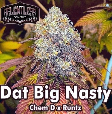 Relentless - Dat Big Nasty (Fem)