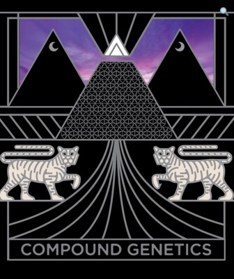 Compound - Honeycomb Pavé (Big Face x Pavé) (Fem)
