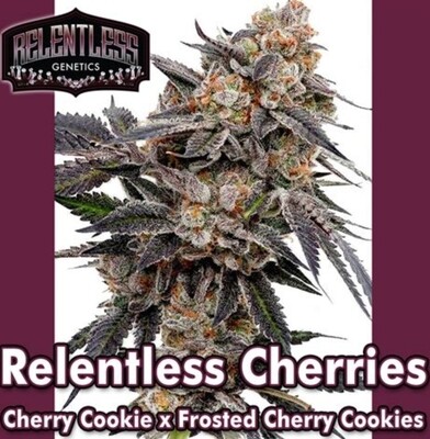 Relentless - Relentless Cherries (Fem) Relentless - Relentless Cherries (Fem)