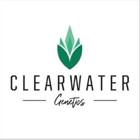 Clearwater - Now and Later x Gary Payton (Fem)