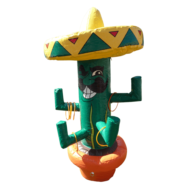 Ringwerp Cactus