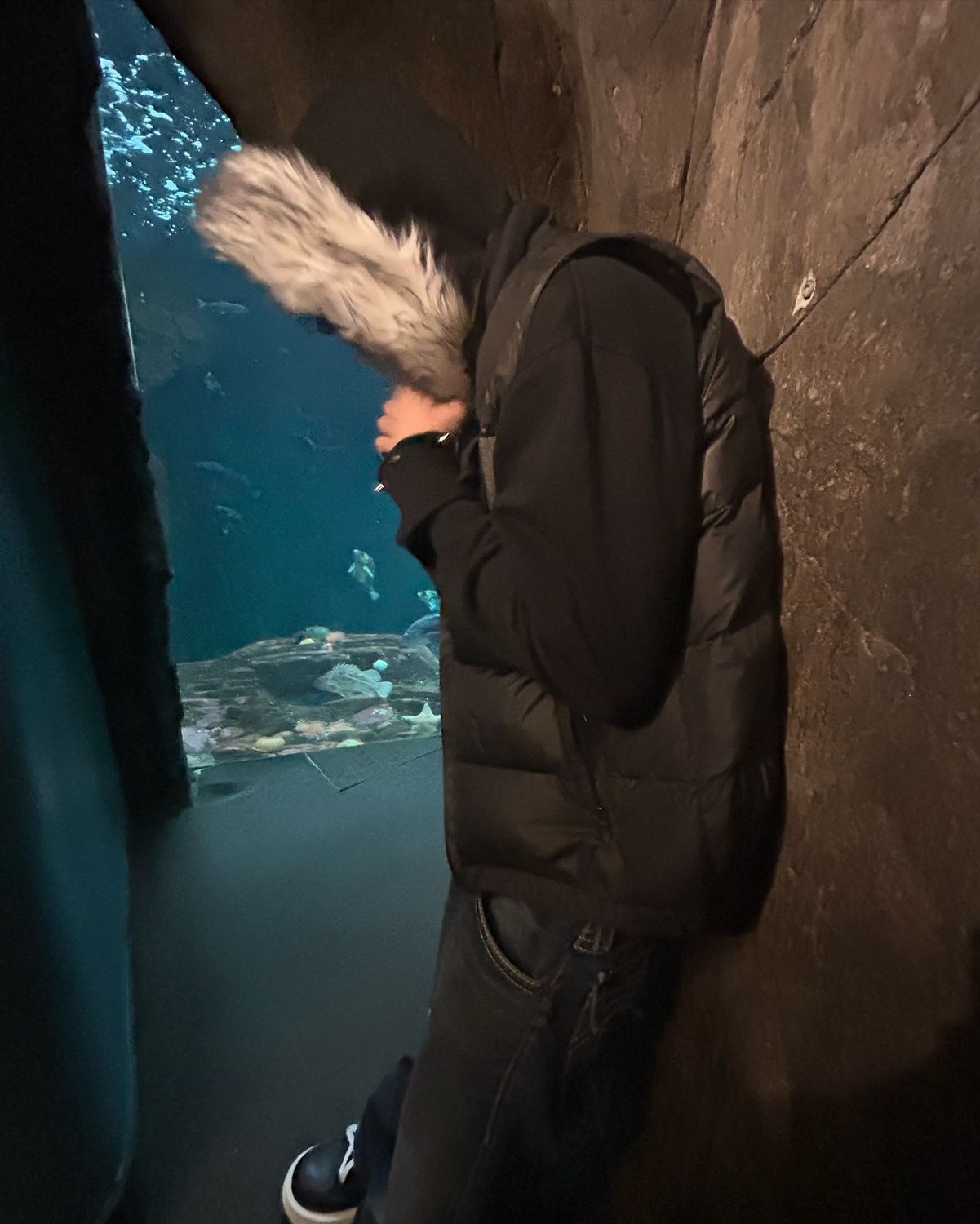 Études Furr Hoodie