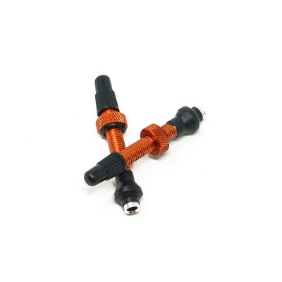 Valvulas/ Valves