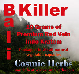 Bali Killer