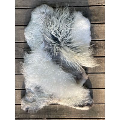 Miko Mini Sheepskin C