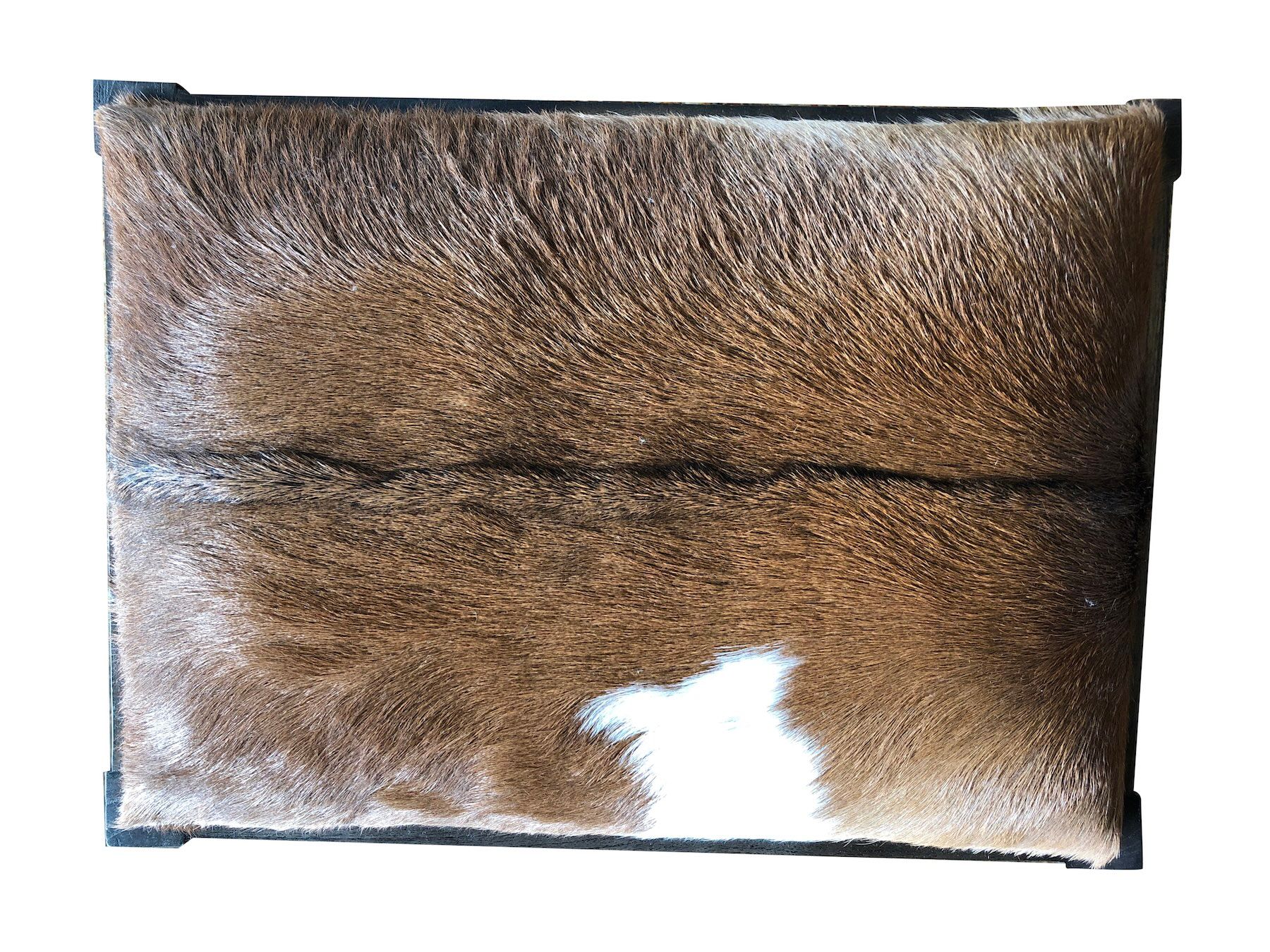 Neta Hand-Carved Bench