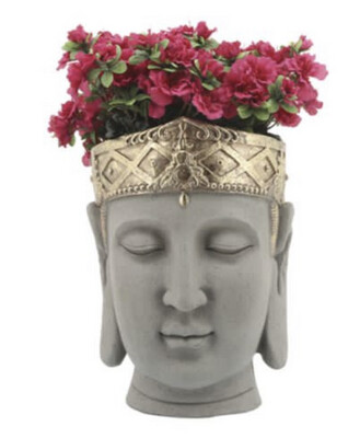 Macetero de Budha
