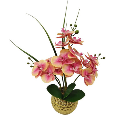 Orquídea con pote dorado