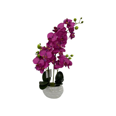 Orquídea fucsia pote blanco