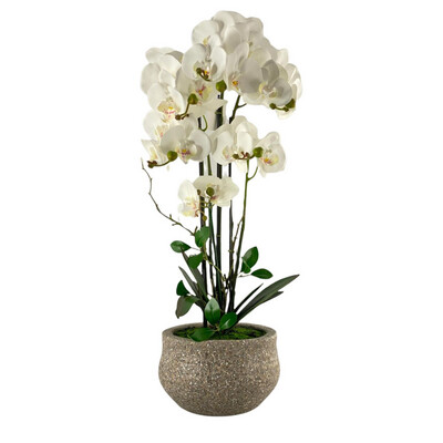 Orquídea blanca con pote gris