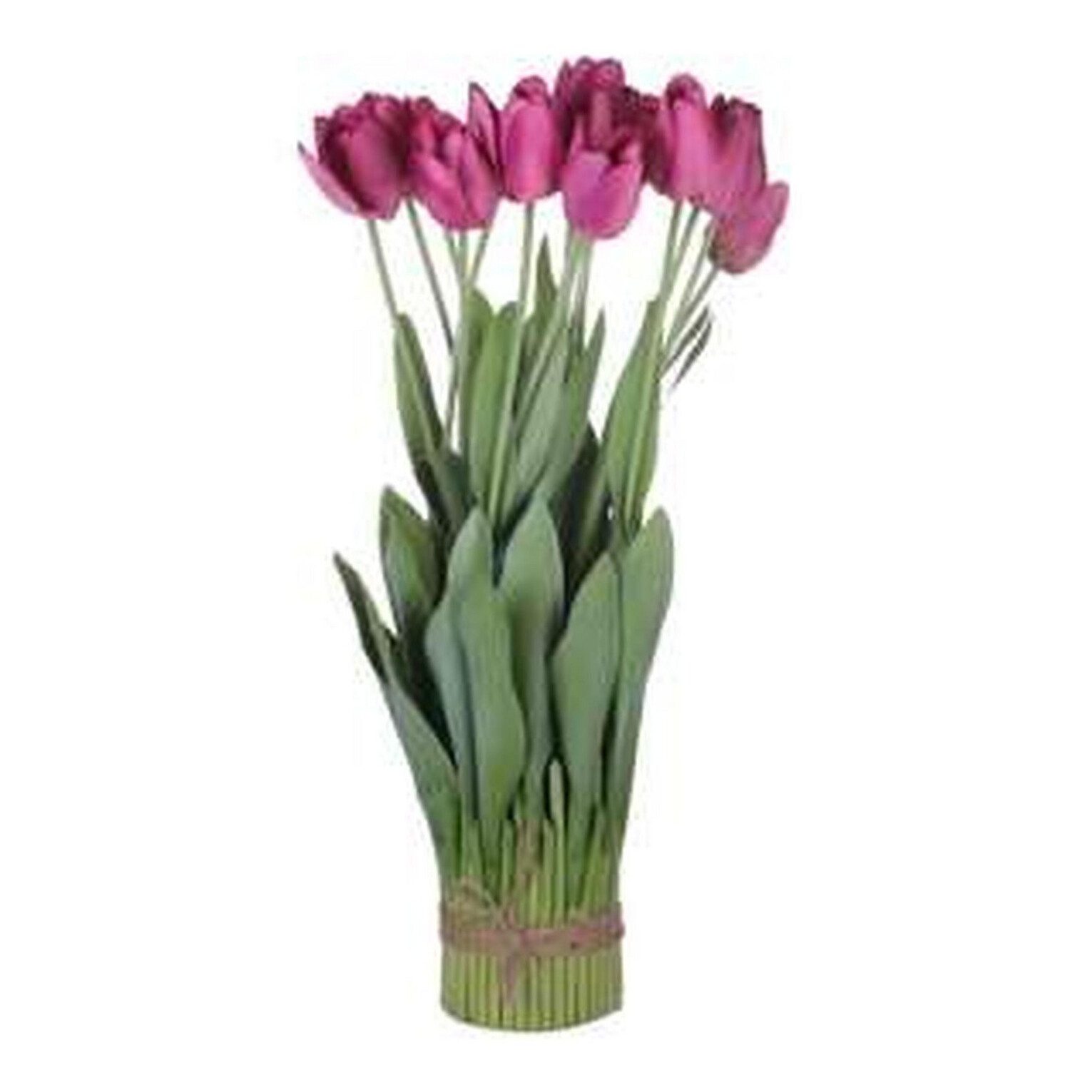 Tulipán 16 tallos grandes
