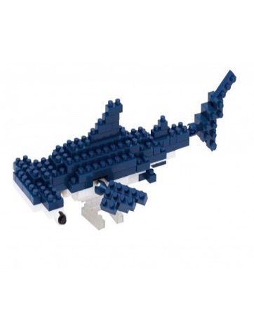 Hammerhead Shark