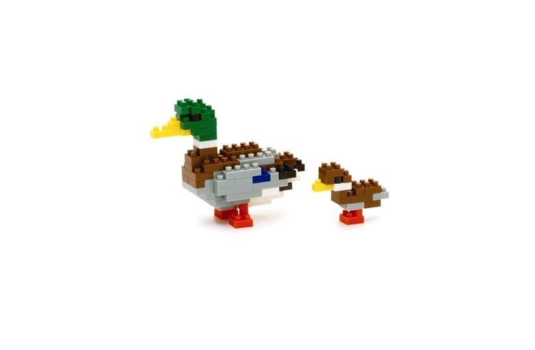 Mallard