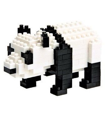 Giant Panda