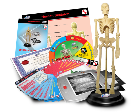 Orthopedics Deluxe Set