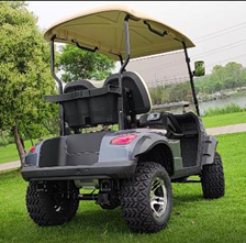 Electric Golf Cart JY-220A