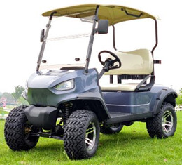 Electric Golf Cart JY-220A